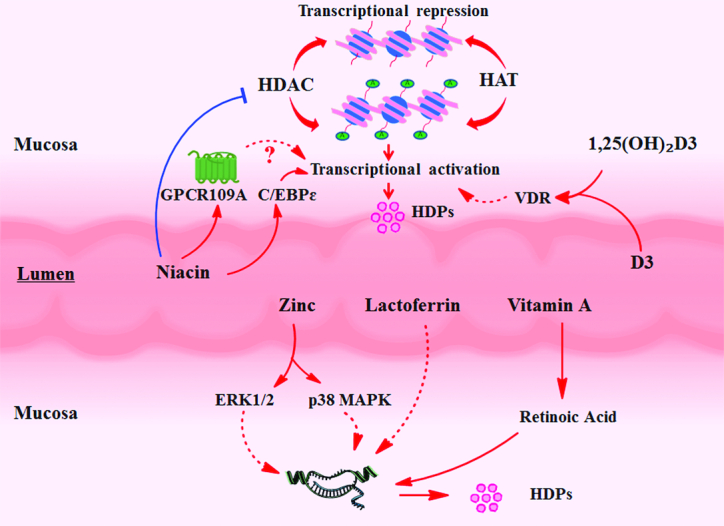 FIGURE 3