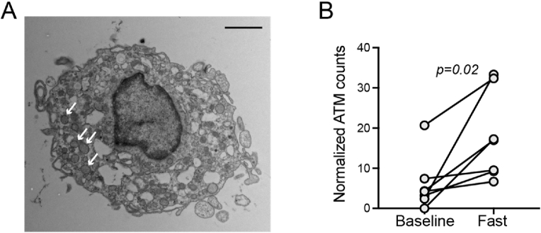 Figure 4