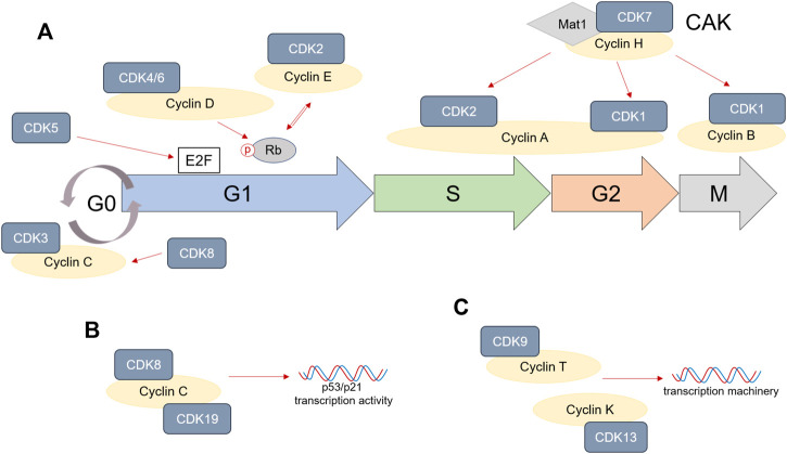 FIGURE 1