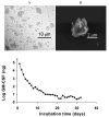 FIG. 1