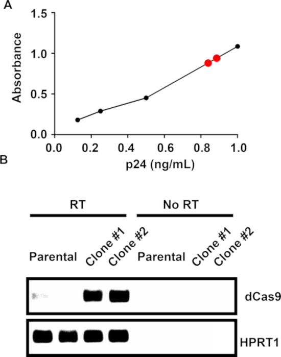 Figure 2: