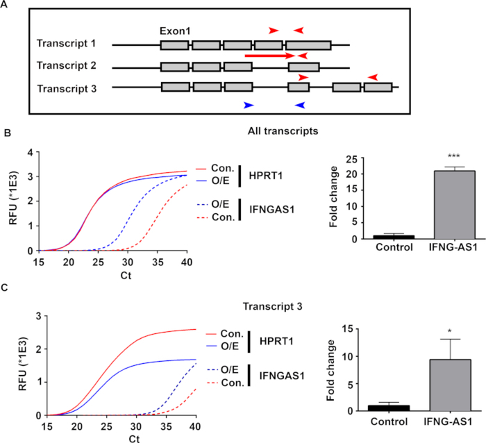 Figure 3: