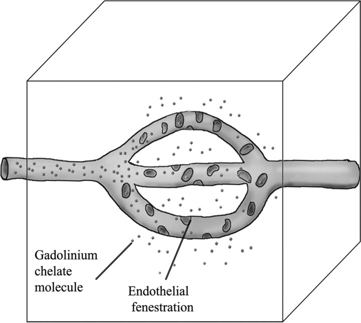 Fig 1.