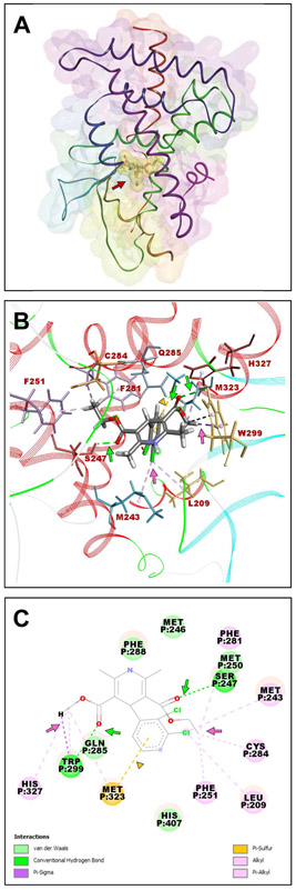 Figure 2.