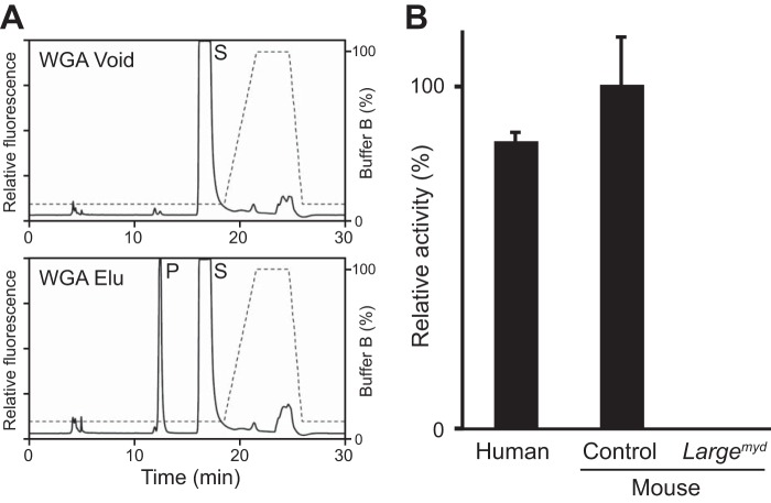 FIGURE 9.