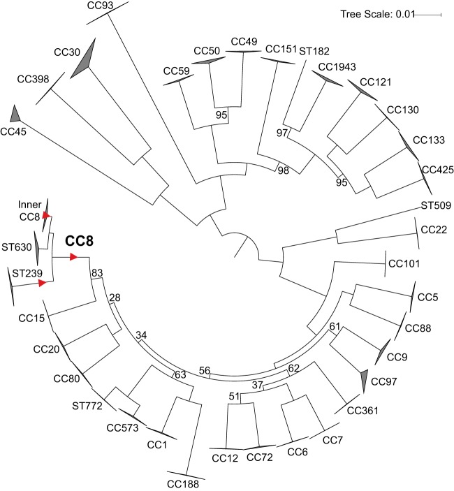 FIG 1 