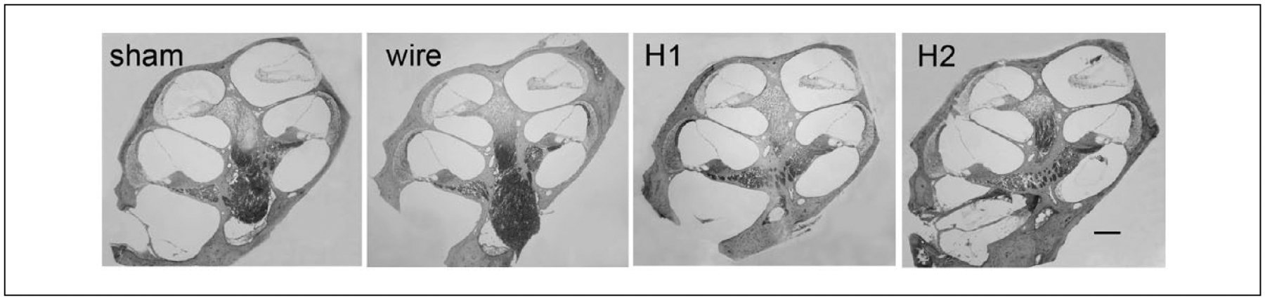 Figure 10.