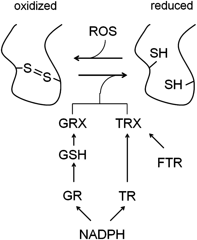 Fig. 3