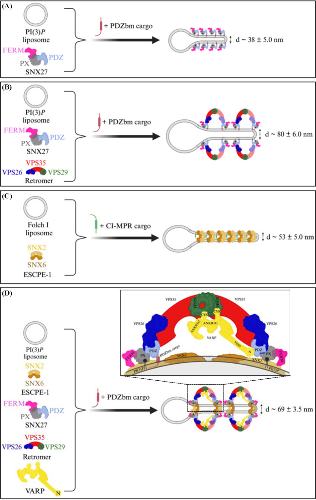 Figure 7.