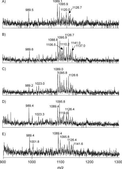 FIG. 6.