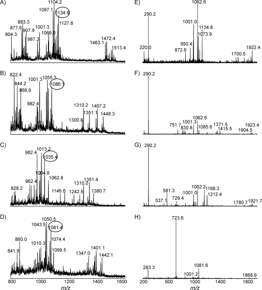 FIG. 8.