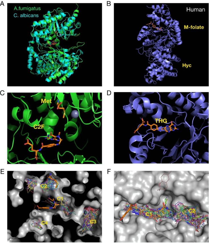 FIG 7