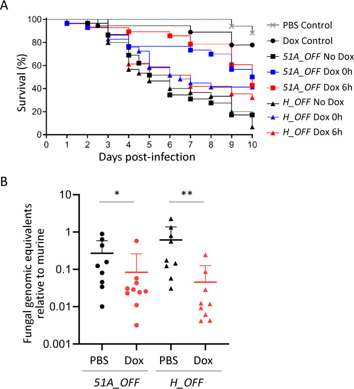 FIG 6