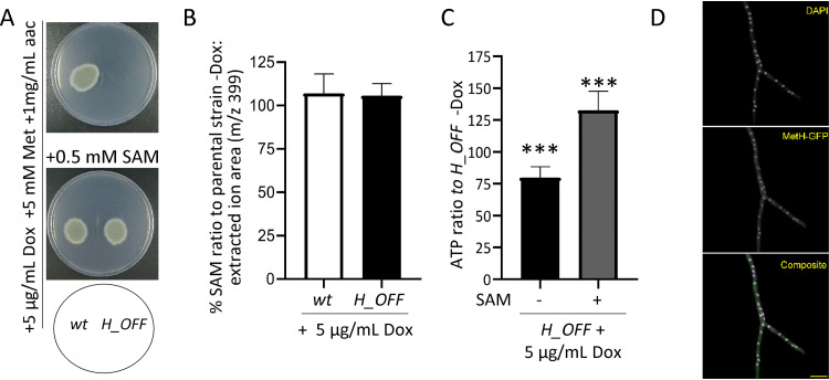 FIG 4