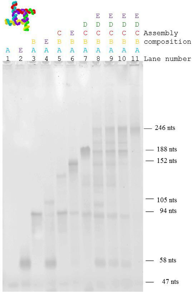 Fig. 6.