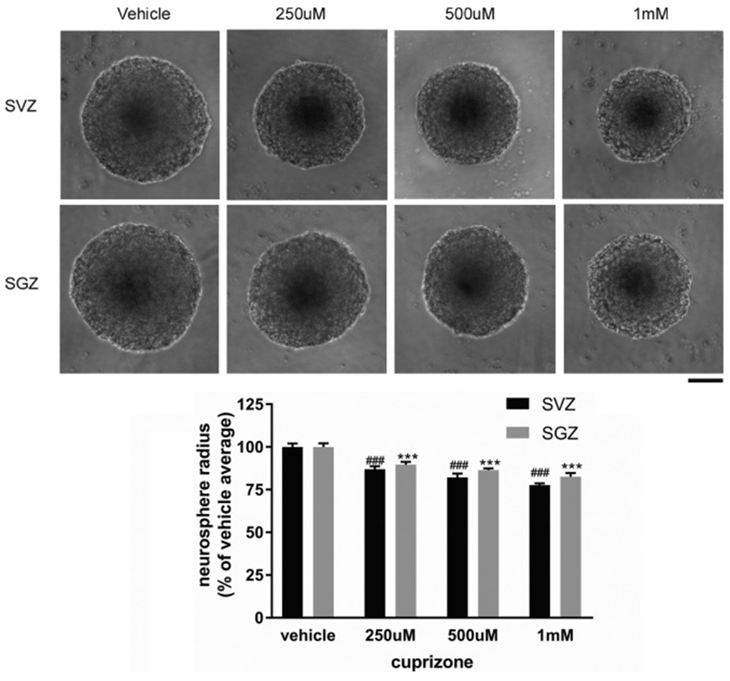 Fig. 8.