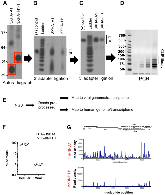 Figure 2-