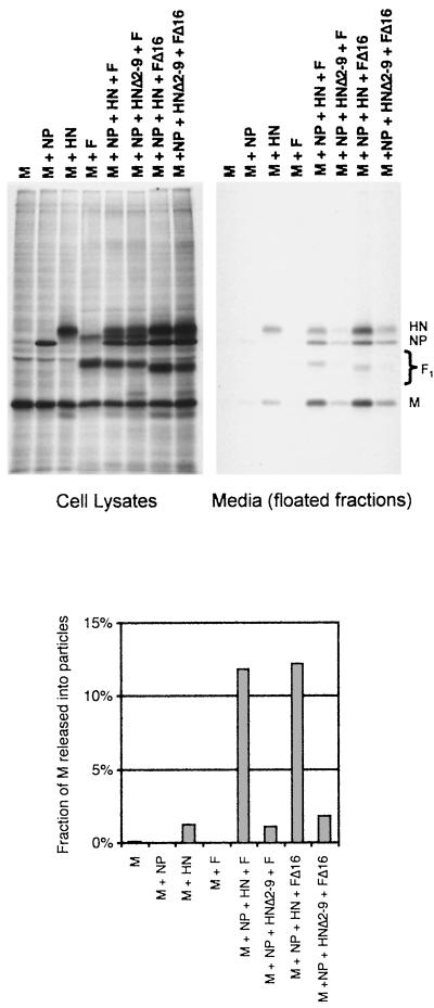 FIG. 9.