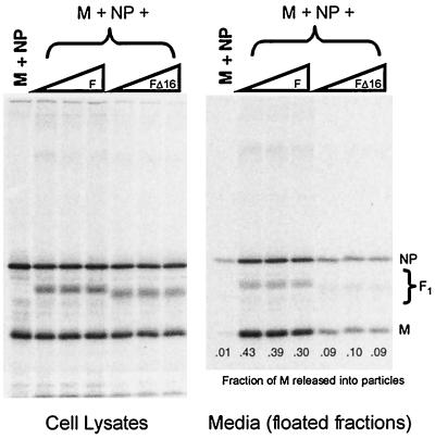 FIG.8.