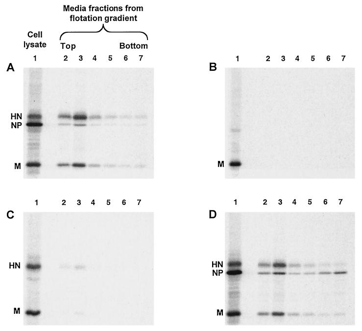 FIG. 1.