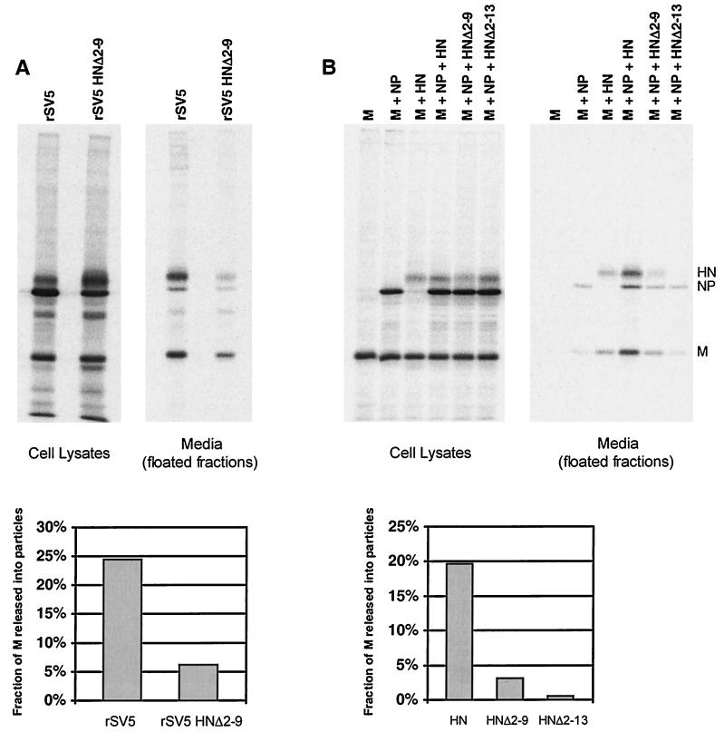 FIG. 7.