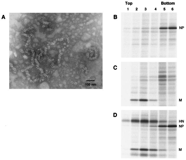 FIG. 6.