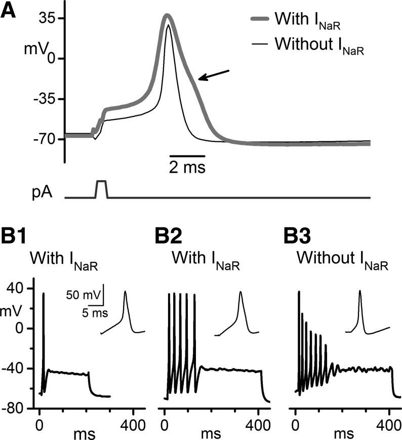 Fig. 9.