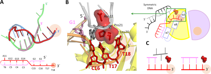 Figure 4.