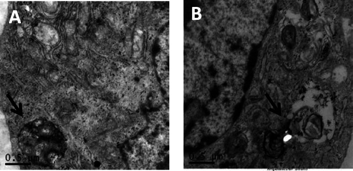 Fig. 9