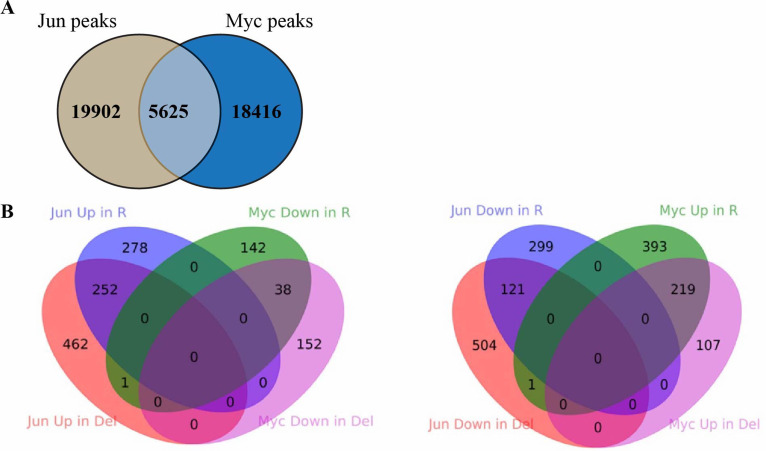 Figure 4—figure supplement 1.