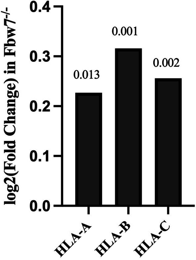 Figure 5—figure supplement 1.