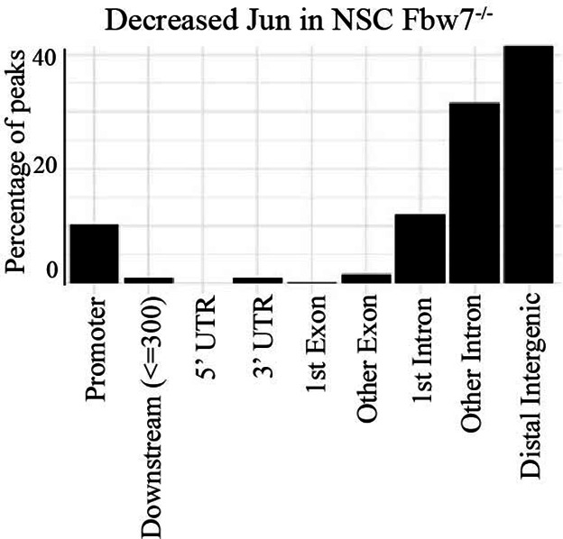 Figure 6—figure supplement 3.