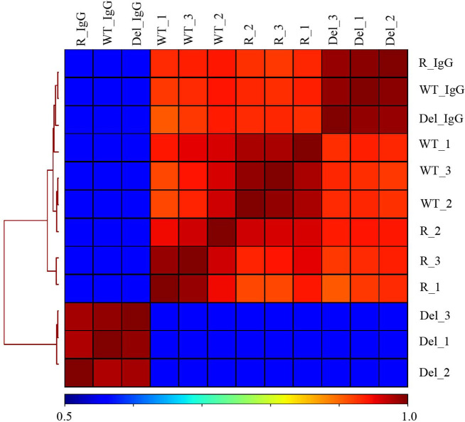 Figure 2—figure supplement 1.