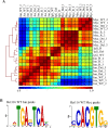 Figure 3—figure supplement 2.