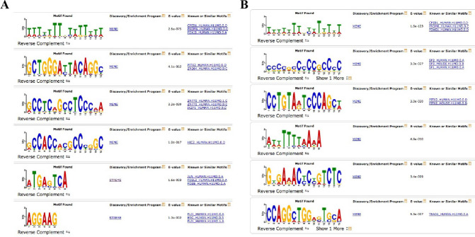 Figure 2—figure supplement 3.