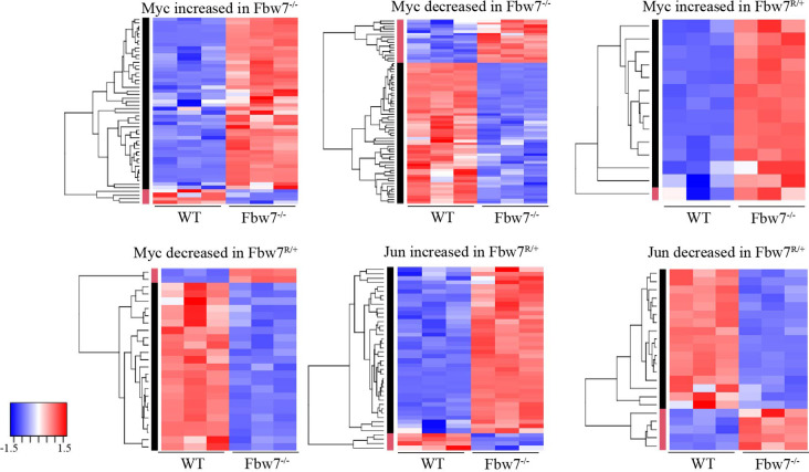 Figure 3—figure supplement 4.