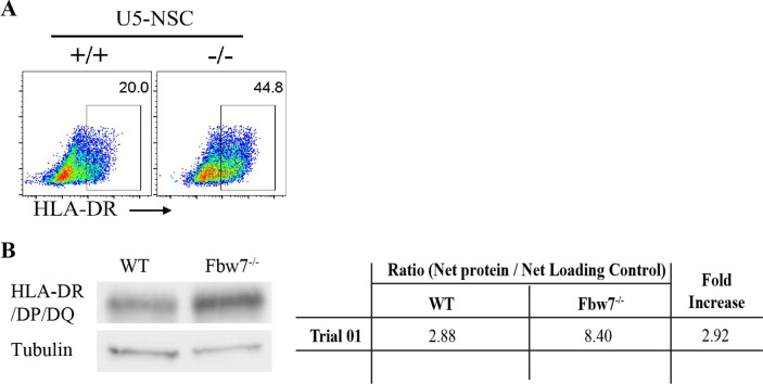 Figure 6—figure supplement 5.