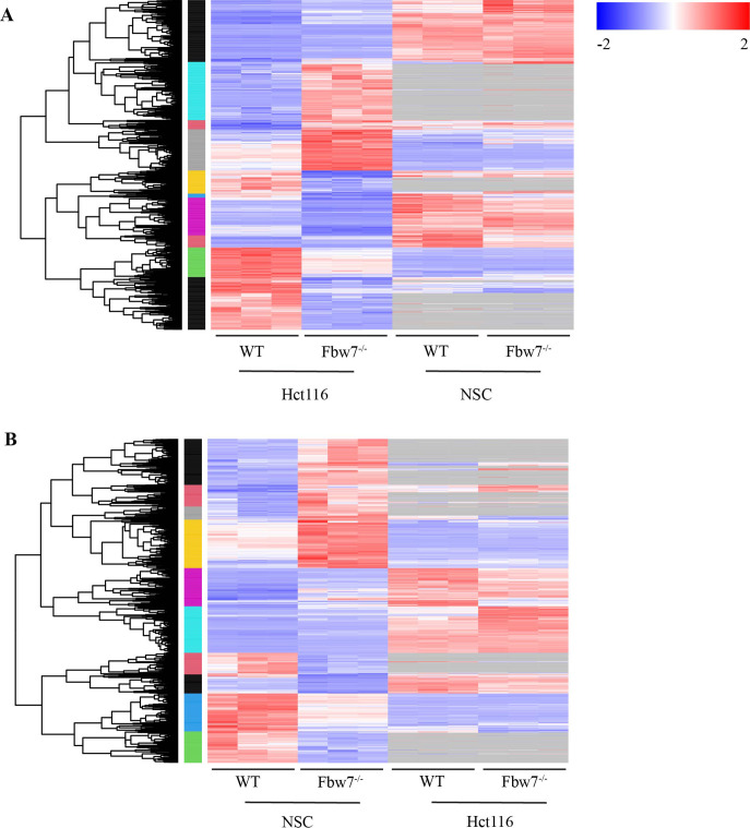 Figure 6—figure supplement 6.