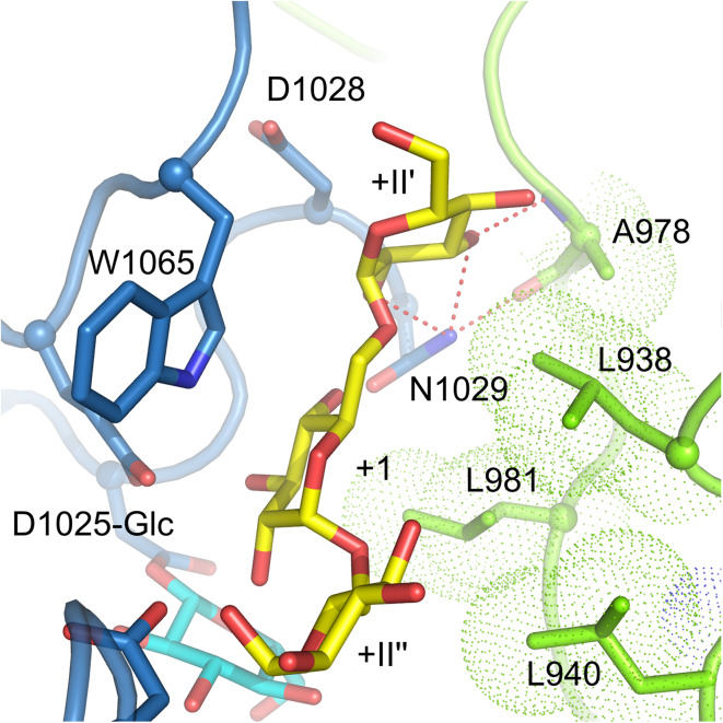 Fig. 9