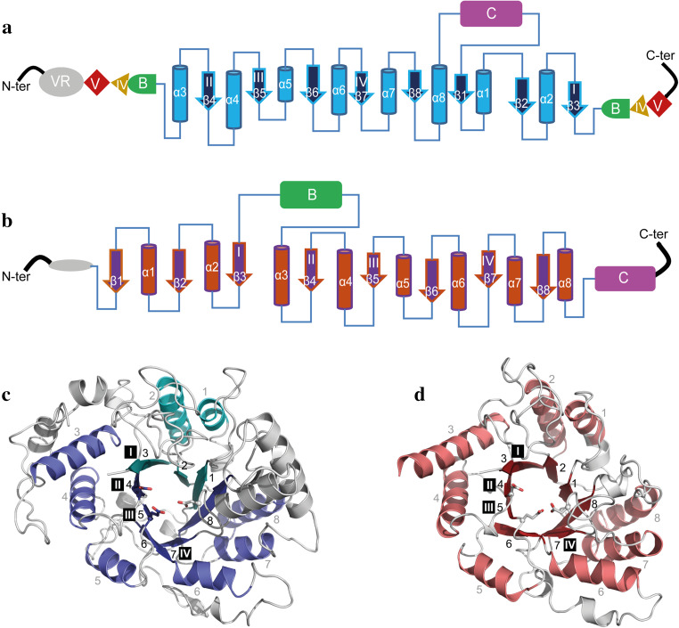 Fig. 3