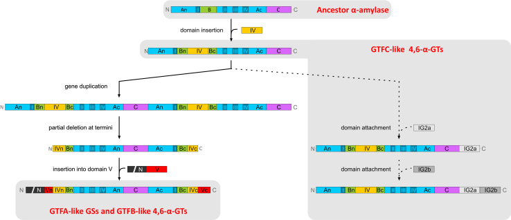 Fig. 12