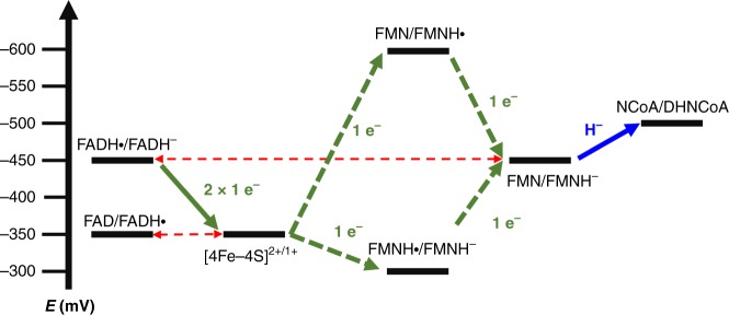 Fig. 8