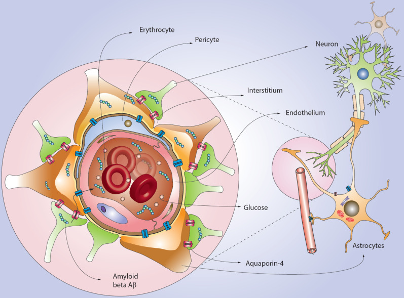 Fig. (2)