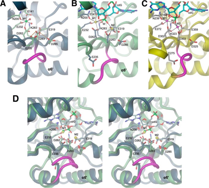 FIGURE 4.