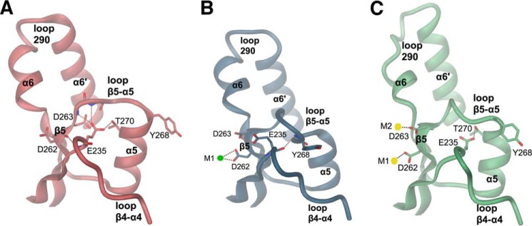 FIGURE 5.