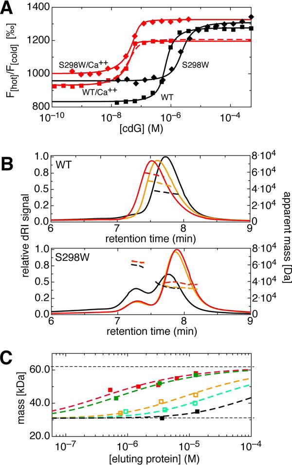 FIGURE 6.