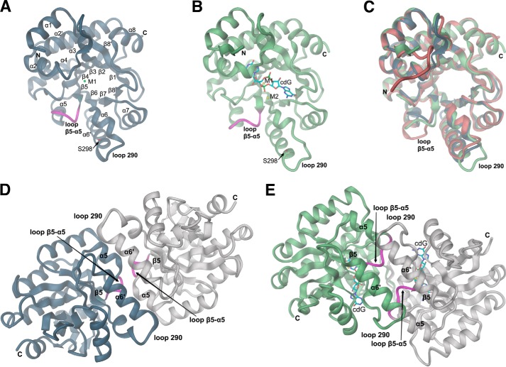 FIGURE 1.