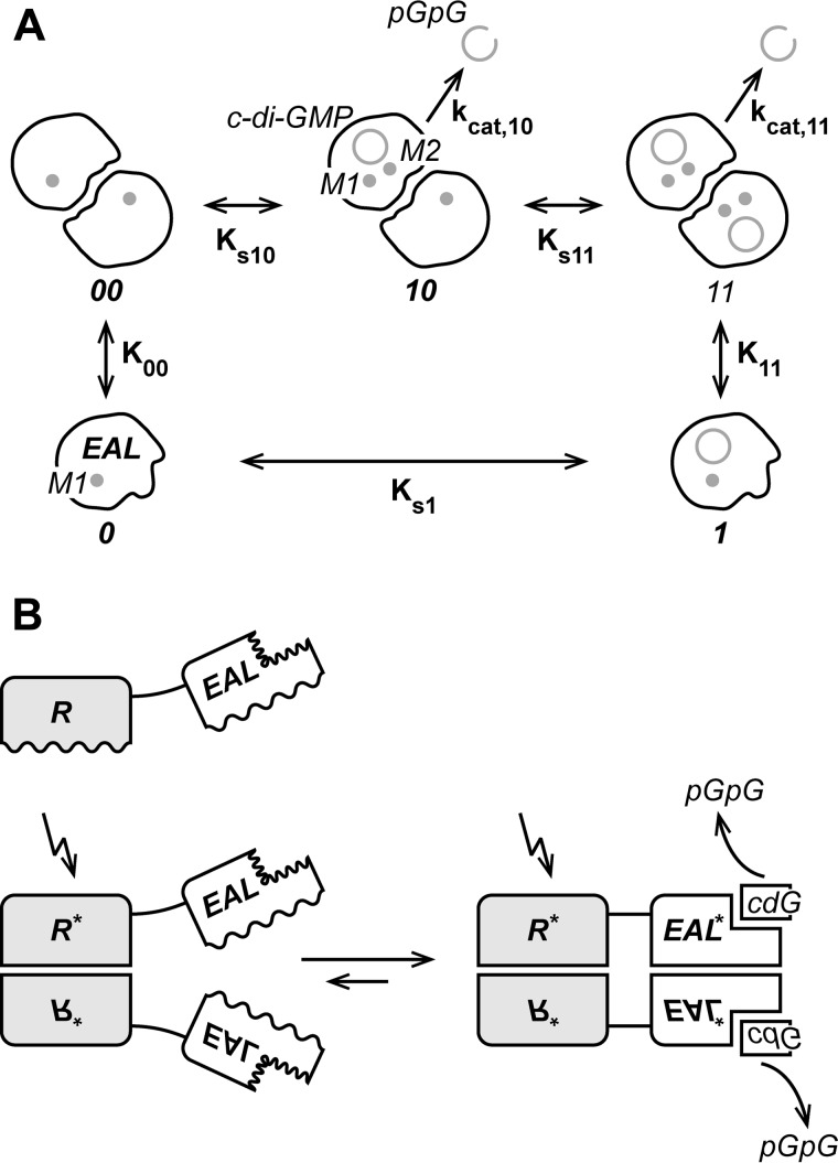 FIGURE 9.