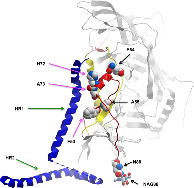 FIG 3