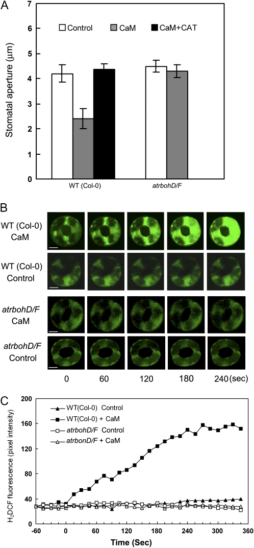 Figure 4.